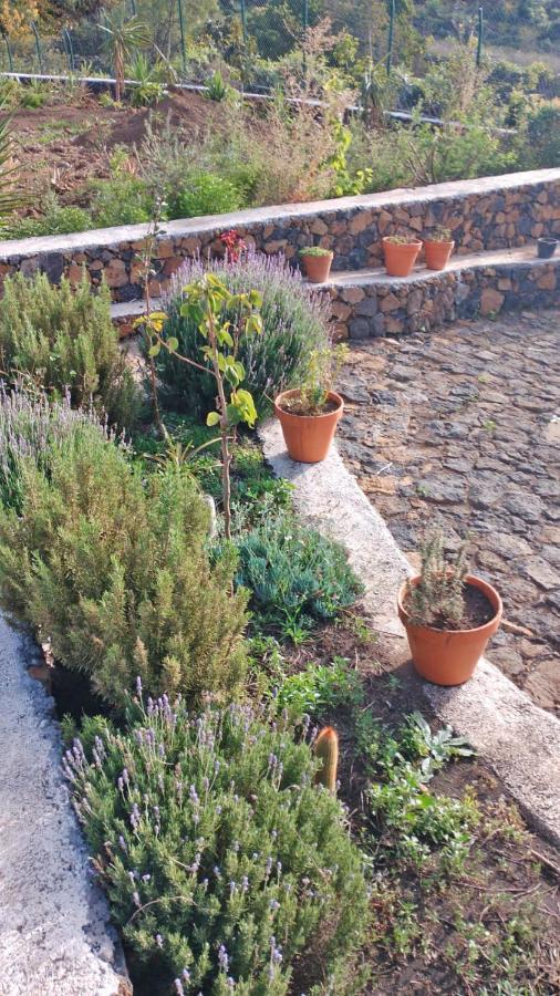 Finca Cosmos El Paso Buitenkant foto