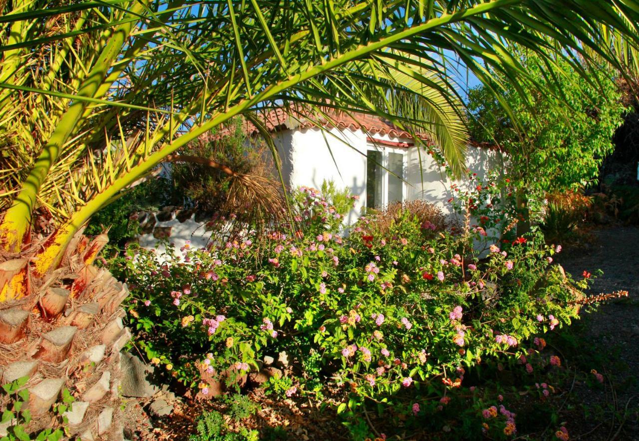 Finca Cosmos El Paso Buitenkant foto
